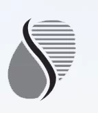 Shree Steel Overseas LLC logo