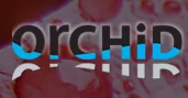 Orchid General Trading logo