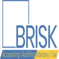 Financial Statements Preparation in Dubai-Financial Statements Service-Brisk logo