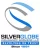 Silver Globe Insurance Consultants & Brokers LLC