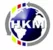 HKM Global Information Technology LLC