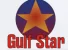 Gulf Ocean Electronics LLC