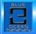 Blue Ocean Repacking Services LLC
